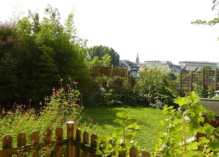 À la MAISON JAUNE